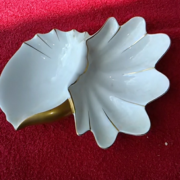 Dish - Picture 2 of 3